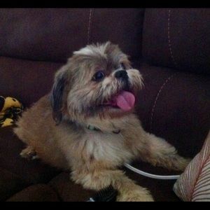 Meet your Posher, Debbie